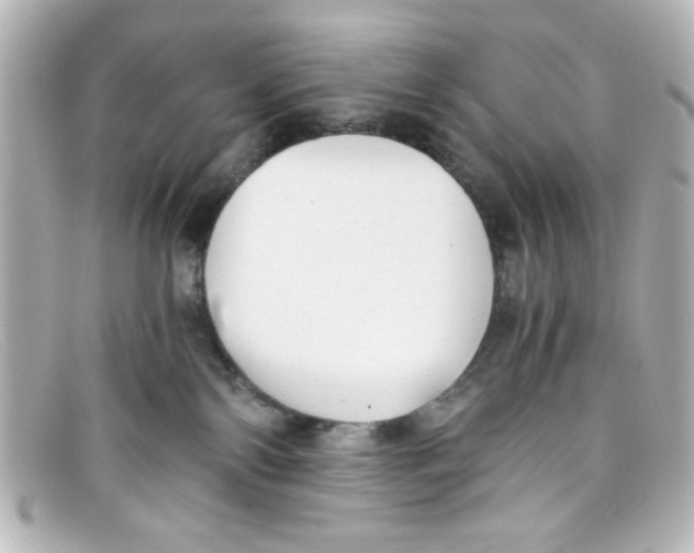 X0000098140138200805081028