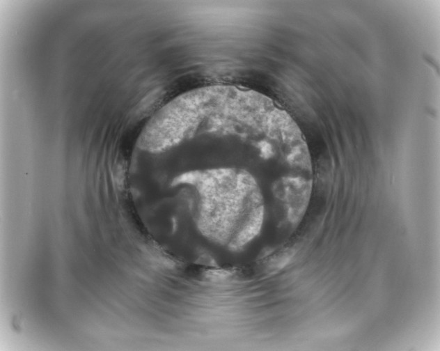 X0000098140139200805081028