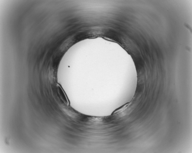 X0000098140140200805081028