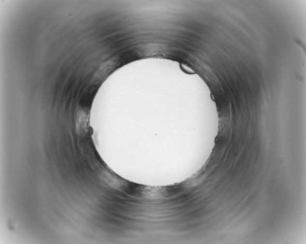 X0000098140142200805081028