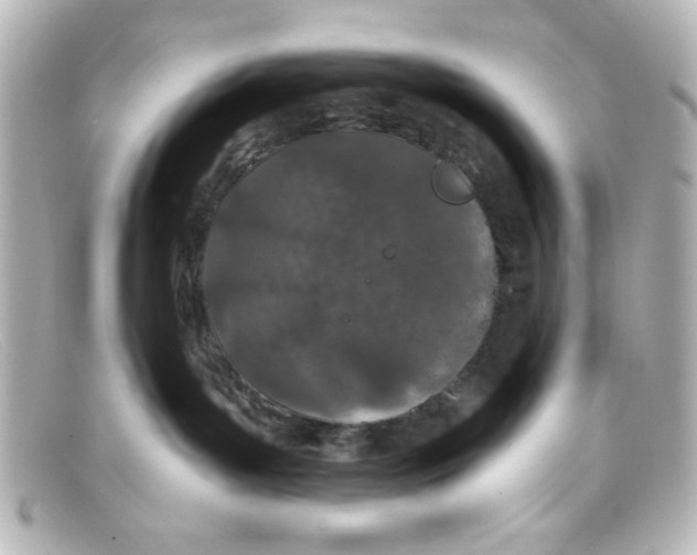 X0000098140143200805081028