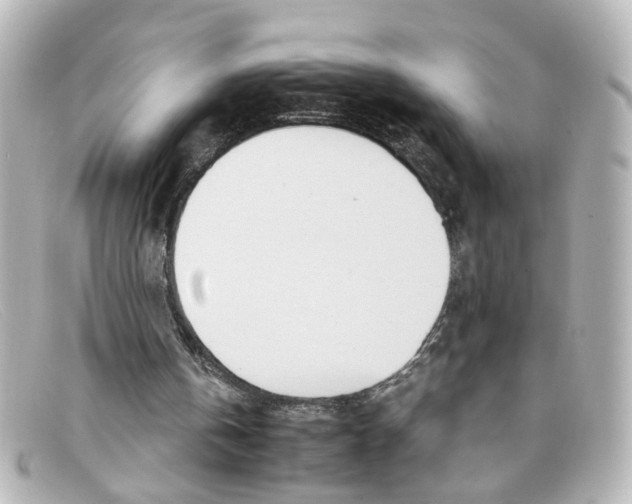 X0000098140146200805081027