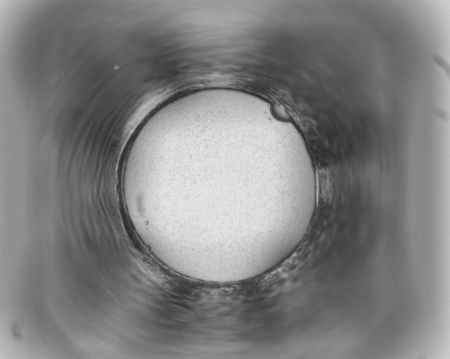 X0000098140147200805081027