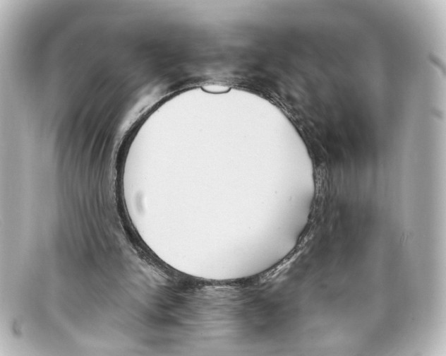 X0000098140150200805081027