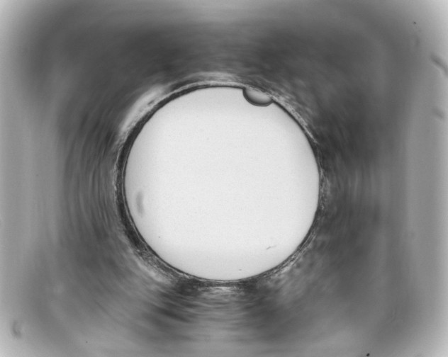 X0000098140151200805081027