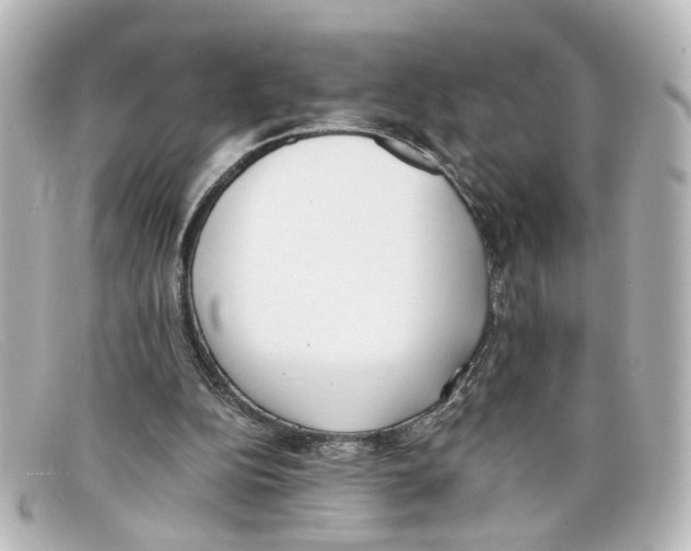 X0000098140152200805081027