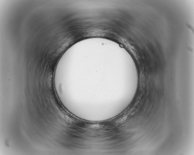 X0000098140153200805081028