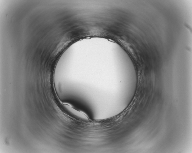 X0000098140154200805081028