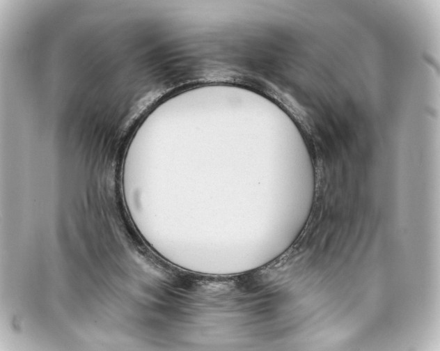 X0000098140155200805081028