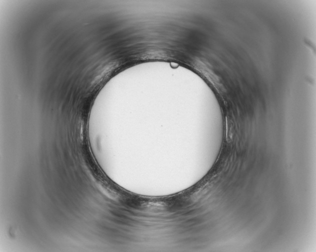 X0000098140157200805081028