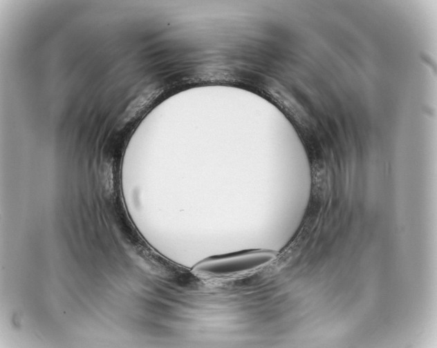 X0000098140158200805081028