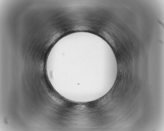 X0000098140159200805081028