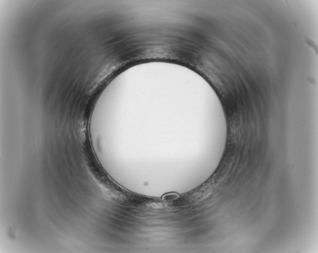 X0000098140160200805081028