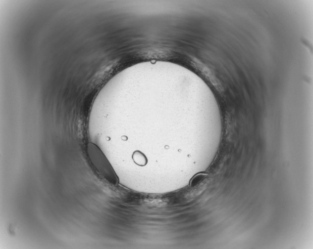 X0000098140161200805081028