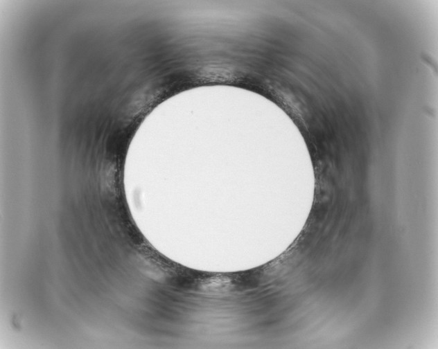 X0000098140162200805081028