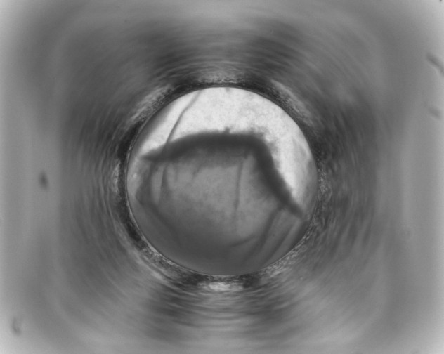 X0000098140163200805081028