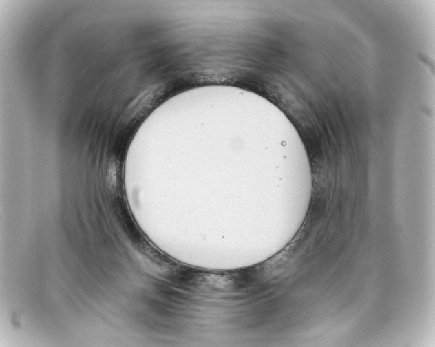 X0000098140166200805081028