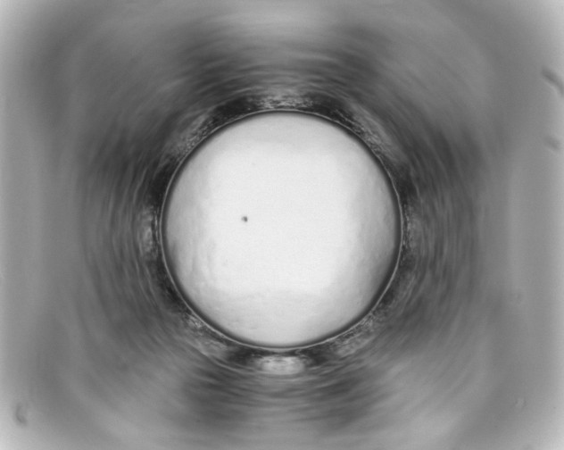 X0000098140169200805081028