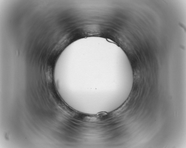 X0000098140170200805081028