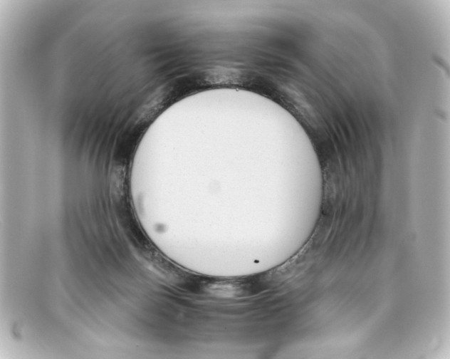 X0000098140171200805081028