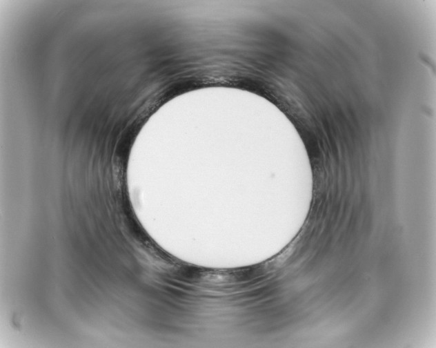 X0000098140174200805081028