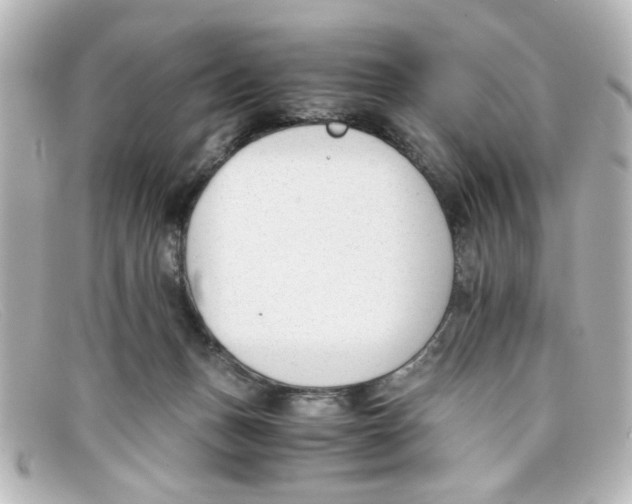 X0000098140175200805081028