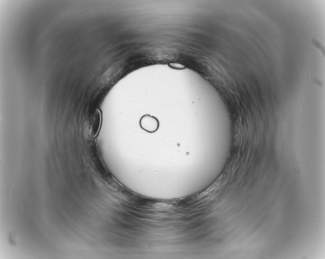 X0000098140176200805081028