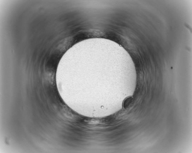 X0000098140177200805081028