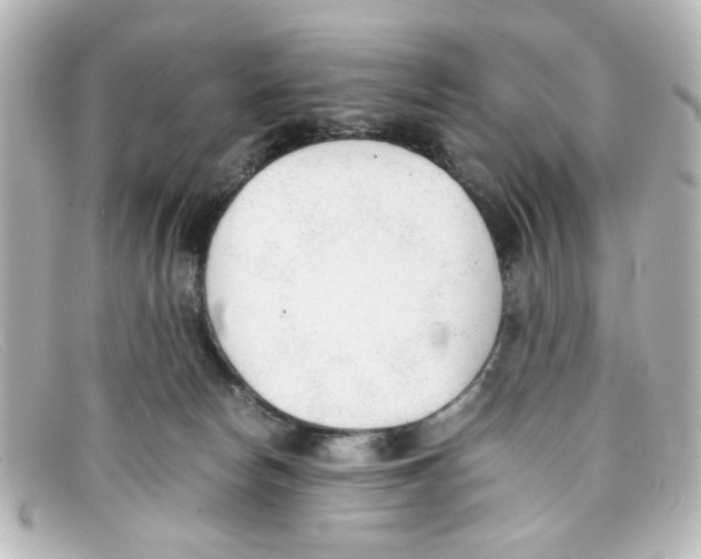 X0000098140178200805081028