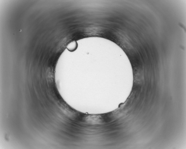 X0000098140179200805081028