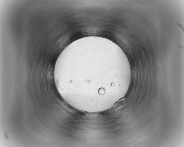 X0000098140181200805081028