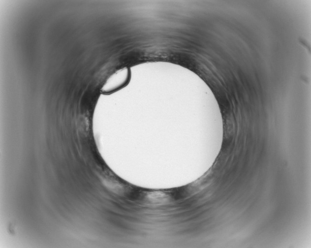 X0000098140183200805081028