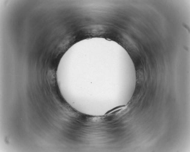 X0000098140184200805081028