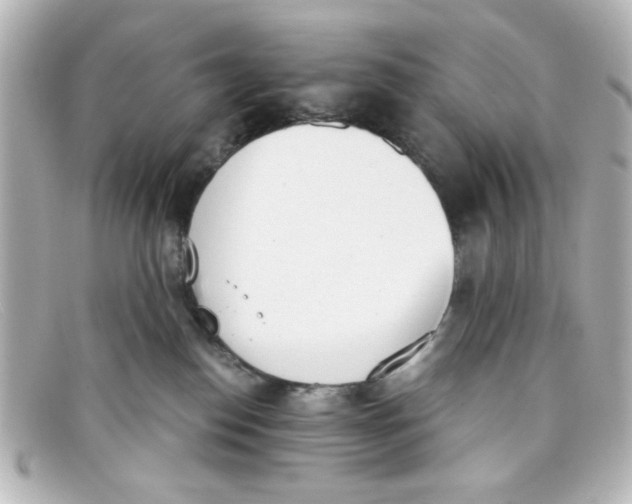 X0000098140186200805081028