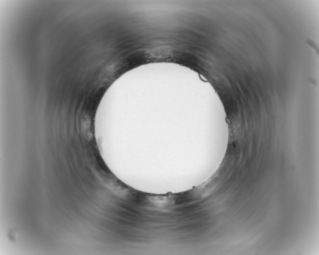 X0000098140187200805081028