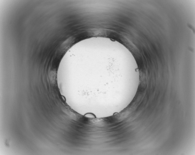 X0000098140189200805081028