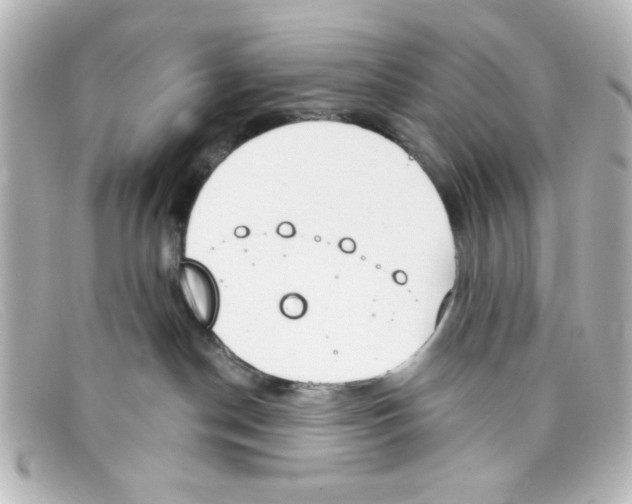 X0000098140190200805081028