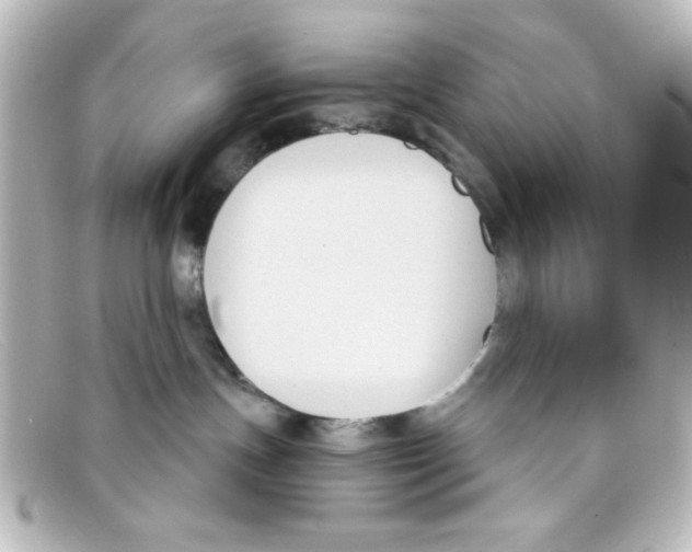 X0000098140191200805081028