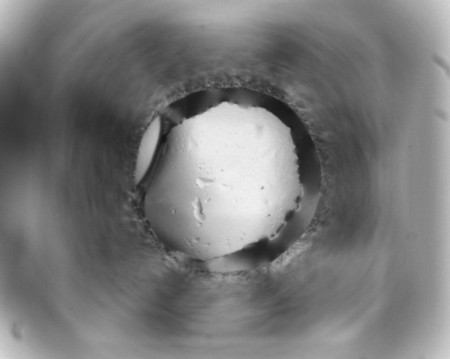 X0000098140192200805081028