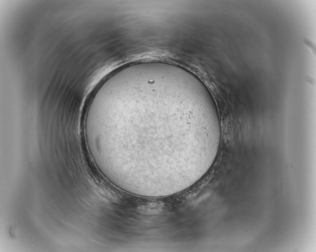 X0000098140196200805081027