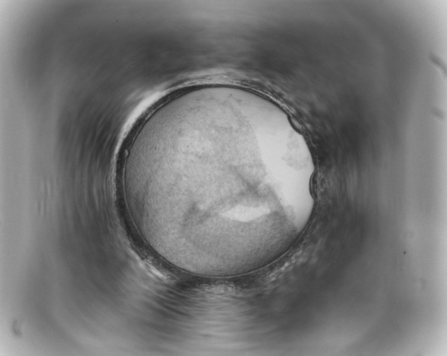 X0000098140200200805081027