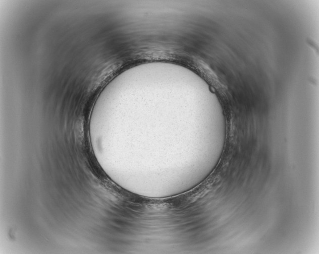 X0000098140202200805081027