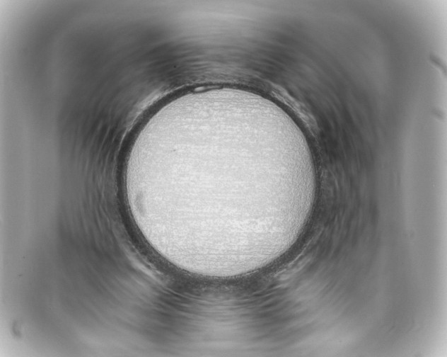 X0000098140203200805081027