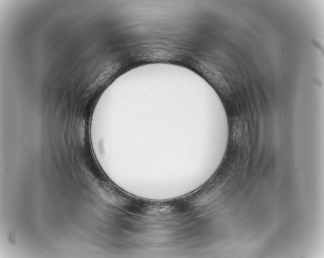 X0000098140206200805081027