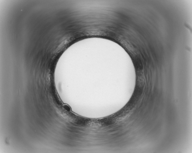 X0000098140207200805081027