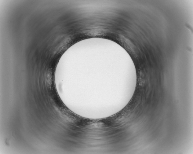 X0000098140210200805081027