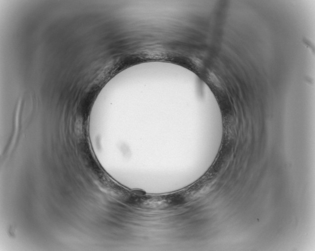 X0000098140213200805081027