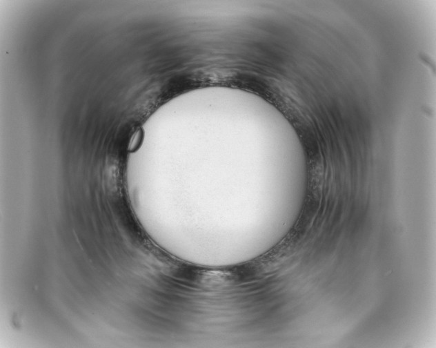 X0000098140222200805081027