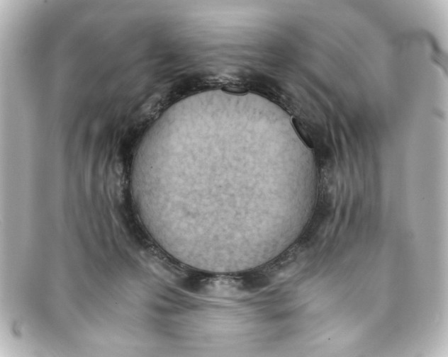 X0000098140223200805081027