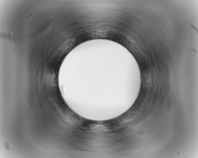 X0000098140224200805081027